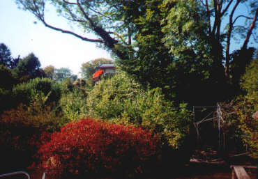 Blick vom Boothaus auf das Wohnhaus (September 2000)