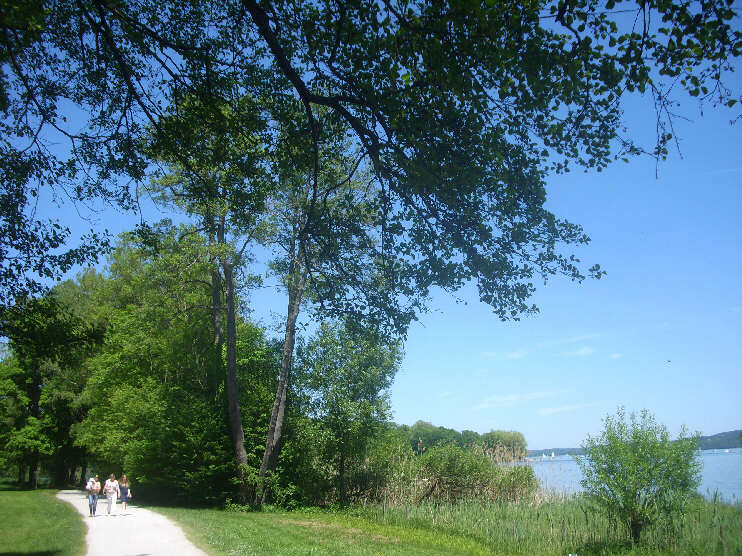 Seeuferweg im Feldafinger Lenné-Park (Mai 2017)