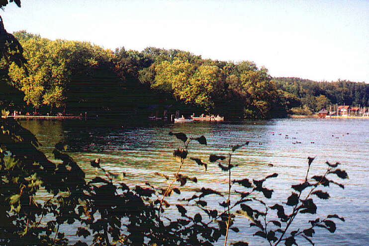 Blick von der Roseninsel zum Platanenrondell (September 2005)