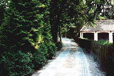 Die leicht geschwungene Zufahrt zum Hans-Albers-Haus (Juli 2001)