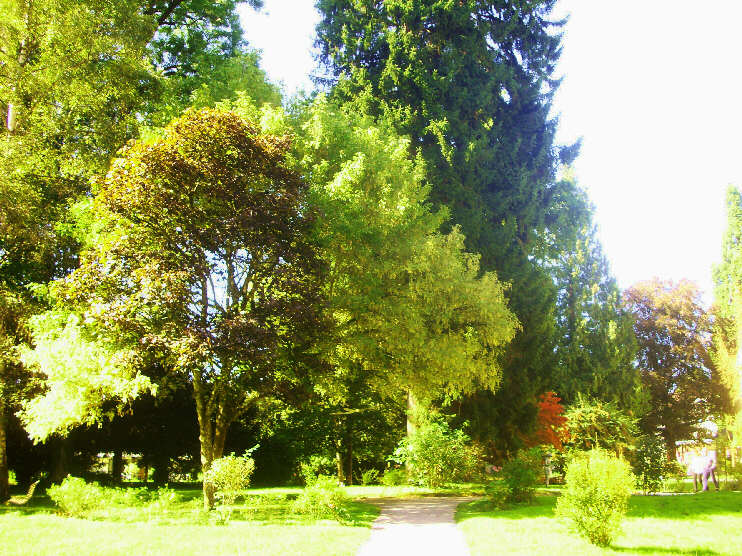 Schloßpark Garatshausen im Herbst (September 2016)