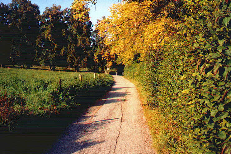 Hans-Albers-Weg zwischen Kreisaltenheim und Hans-Albers-Haus (September 2005)