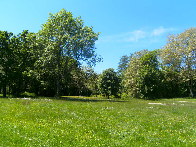 Feldafinger Lenné-Park (Juni 2019)