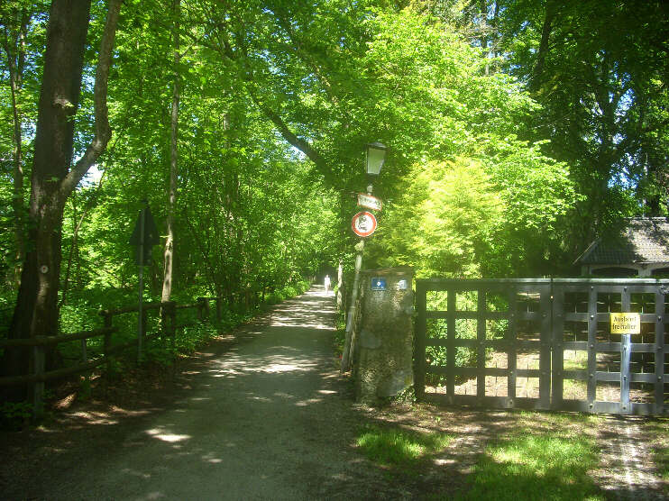 Links: Hans-Albers-Weg in Richtung Feldafing, rechts: Zufahrt zum Hans-Albers-Haus (Juni 2019)