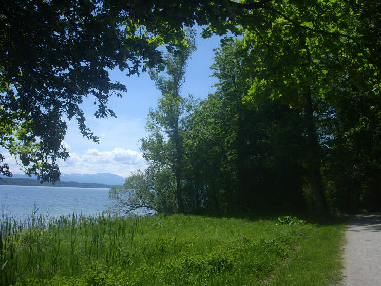 Blick vom Seeuferweg auf den Starnberger See (Juni 2019)