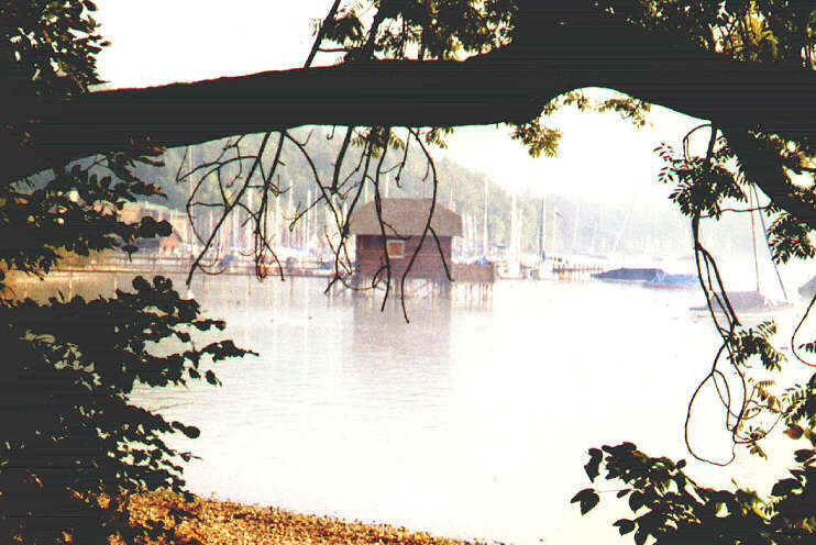 Blick vom Seeuferweg im Park Feldafing auf den Segelschiffhafen im Morgendunst (September 2003)