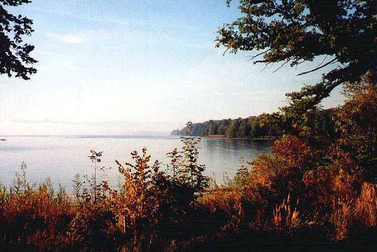 Blick vom Lenné-Park auf den Starnberger See (September 2003)