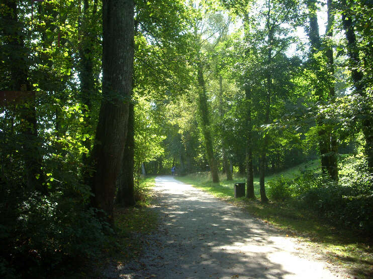 Seeuferweg im Lenné-Park (September 2016)