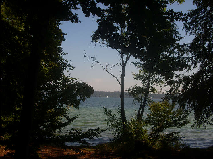 Blick vom Seeuferweg auf den Starnberger See (September 2016)