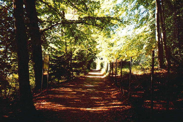 Hier ist der Park Feldafing zu Ende. Die ersten Gärten von Garatshausen sind erreicht (September 2003)