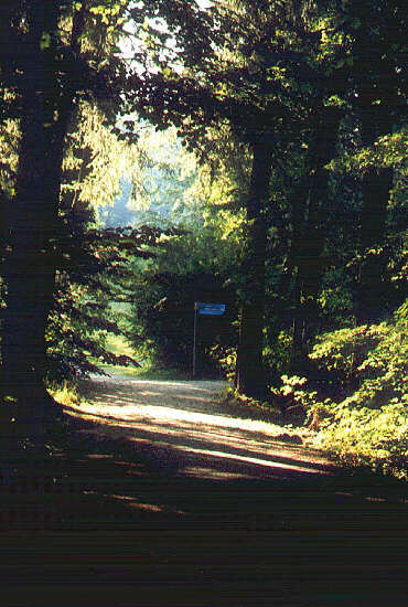 Kaiserin-Elisabeth-Weg im Park Feldafing (September 2005)