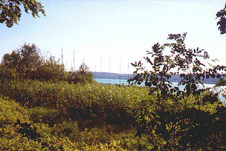 Blick unweit des Feldafinger Segelschiffhafens auf den Starnberger See (Juli 2006)