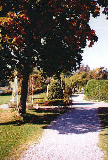 Brahmsweg beim Elly-Ney-Denkmal (September 2003)