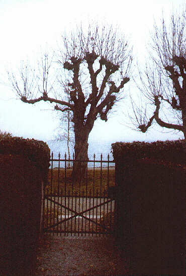 Blick vom Alten Friedhof auf den Starnberger See (Dezember 2006)