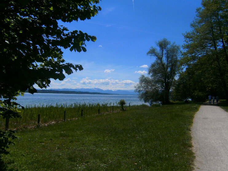 Seeuferweg im Feldafinger Lenne-Park (Juni 2019)